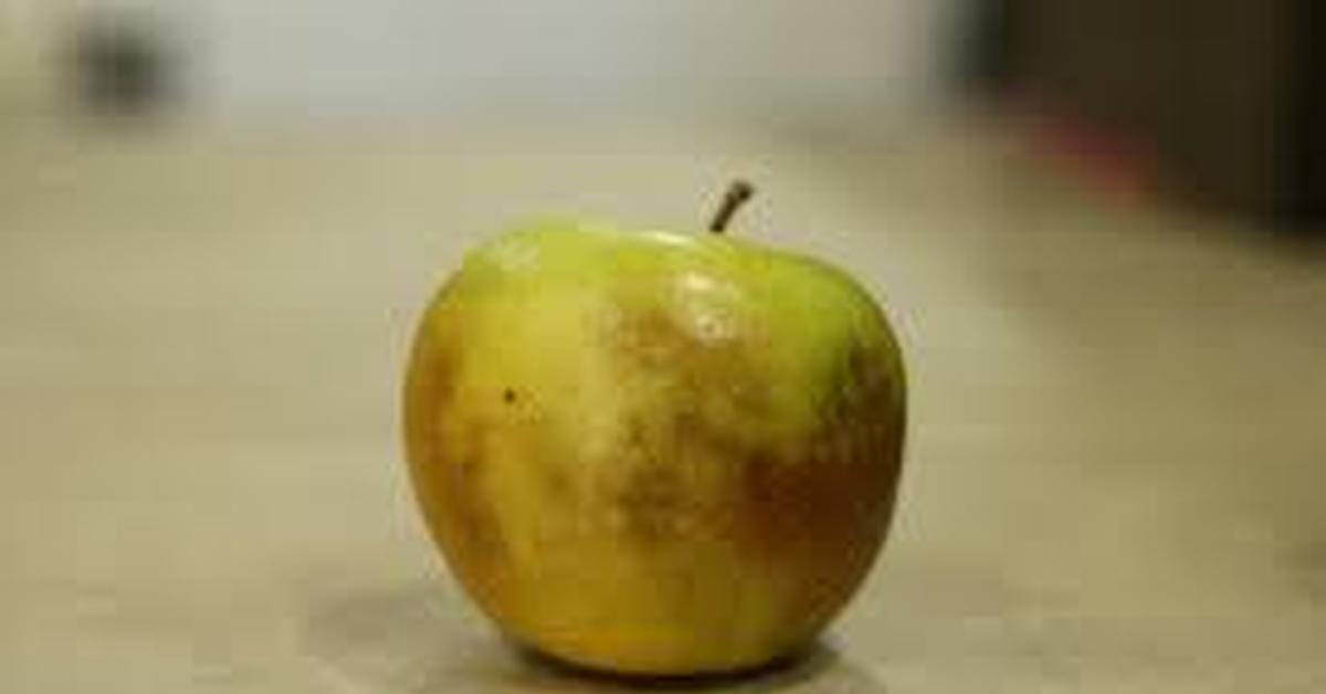 Почему яблоко желтое. Дефекты яблок. Пятна на яблоках. Побурение кожуры у яблок.
