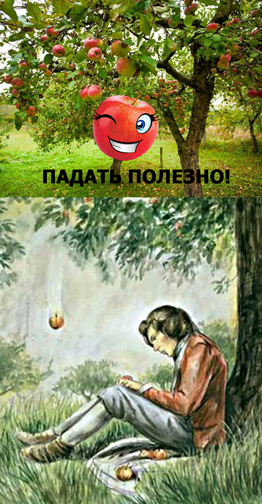 ������ �������