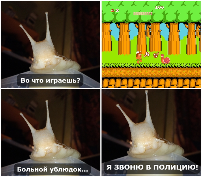 ��������� � ����������