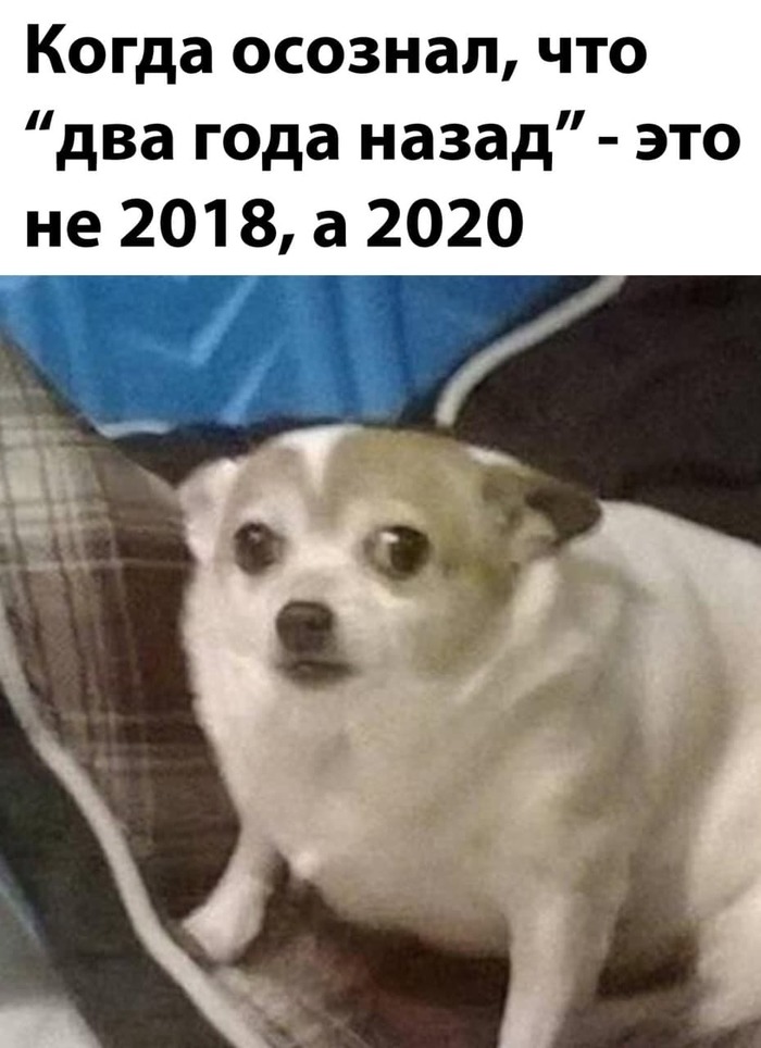     ? , , , 2022, 2020, 2018,  ,   