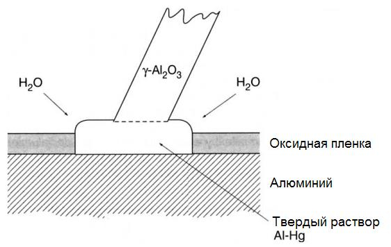 Как ртуть съедает алюминий