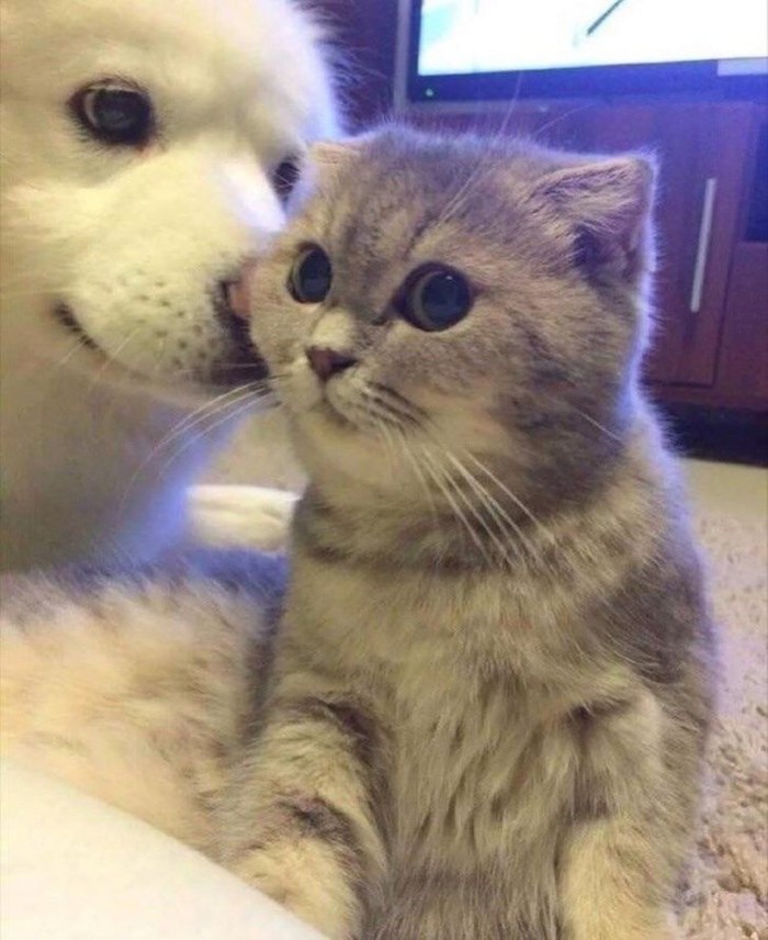 -      ... , ,  , ,    