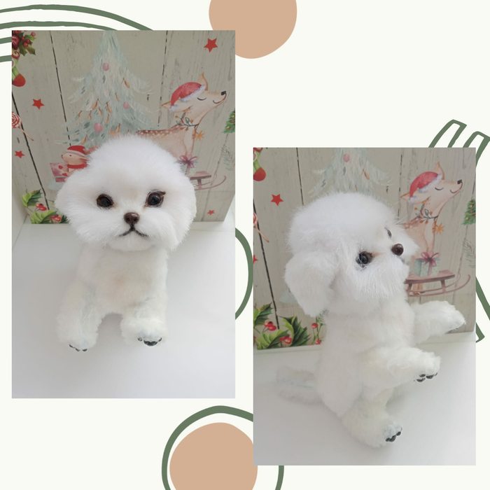 ����� �� ����