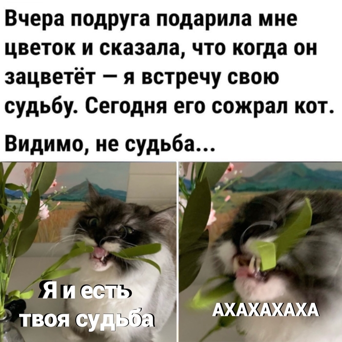 )))(  (), , ,   , ,  , 