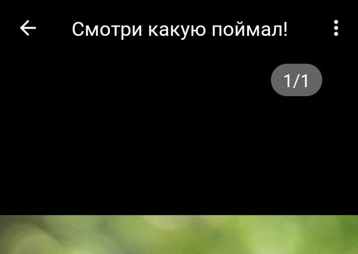 � ��� ��� ����� � ����������� ����/��������?