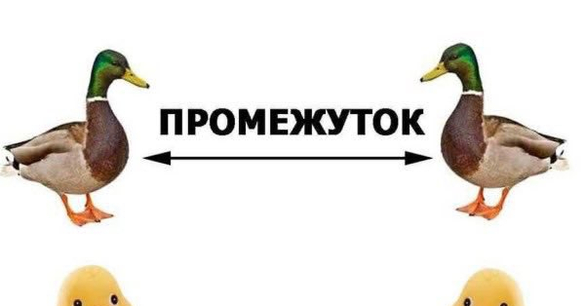 Этого не может быть промежуток. Промежуток промежуточее. Промежуток промежуточек Мем. Промежуток утки. Между уток