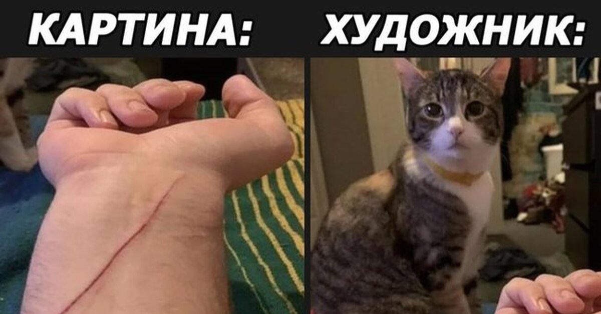 Кот поцарапал картинки