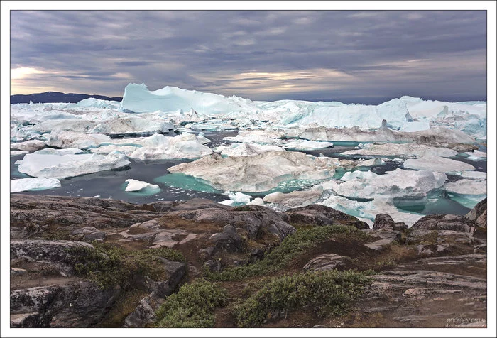 В гостях у хаски Гренландия, Собака, Хаски, Айсберг, Остров, Фотография, Длиннопост В гостях у хаски Гренландия, Собака, Хаски, Айсберг, Остров, Фотография, Длиннопост