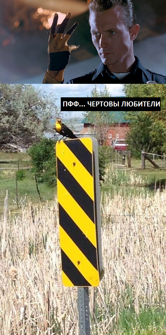 Профессионал