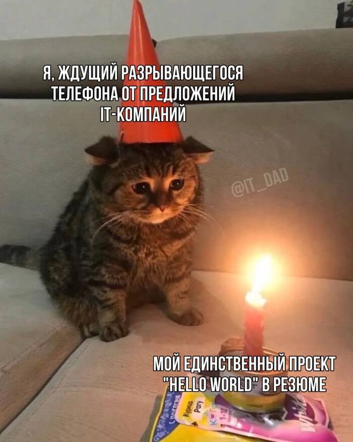 Прошел 30 минутный курс "как войти в айти"