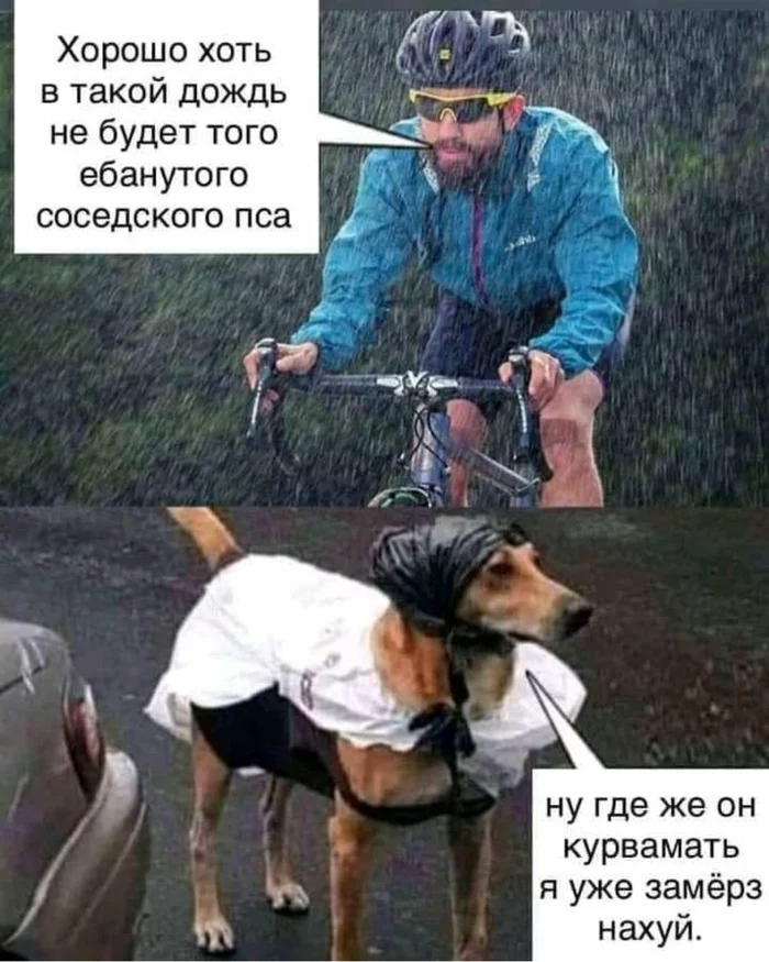 1645283543124811282.webp