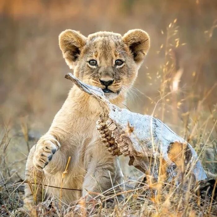 Это я сам завалил