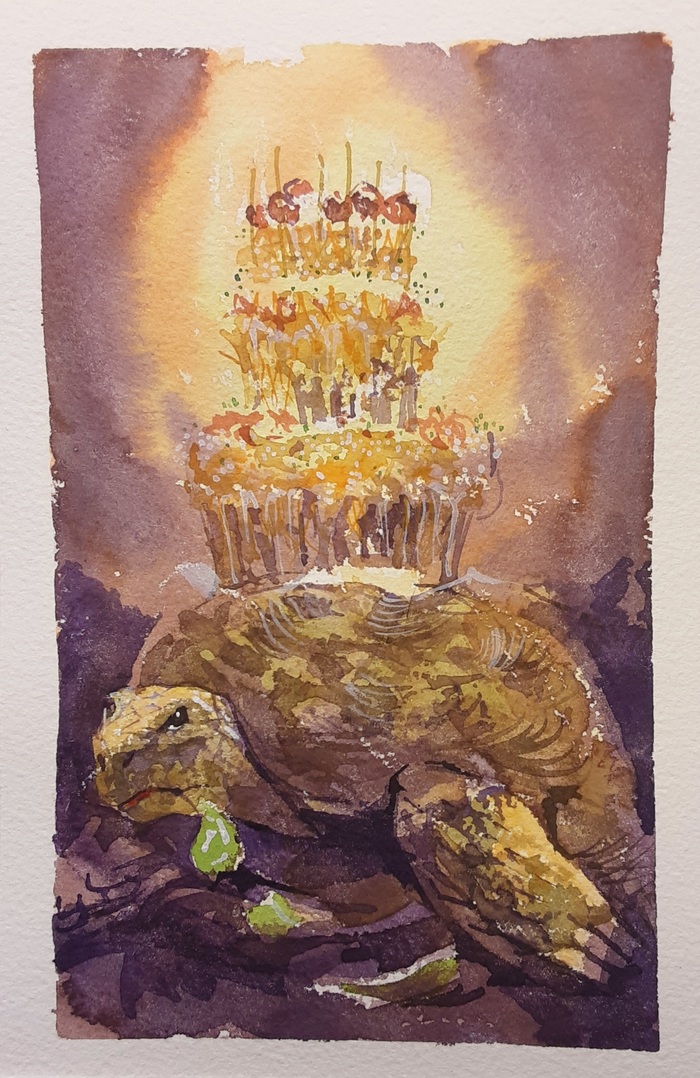 ������������