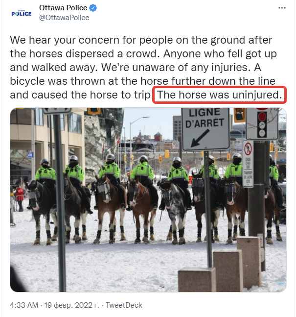 Канадская конная полиция на лошадях топчет людей