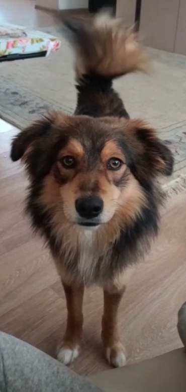 ����� ������������, ��� ����� ������