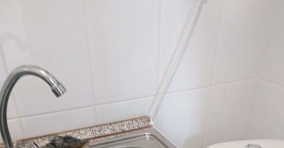 У нас раковина засорилась... | Пикабу