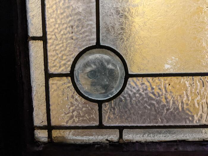 Подглядывающий