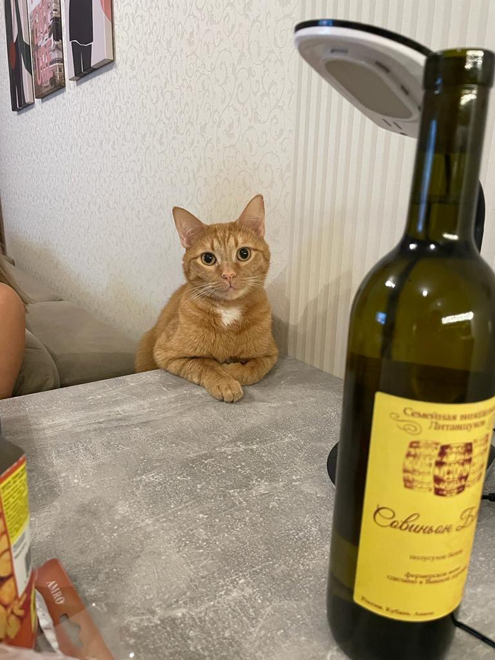 Наливай, что смотришь