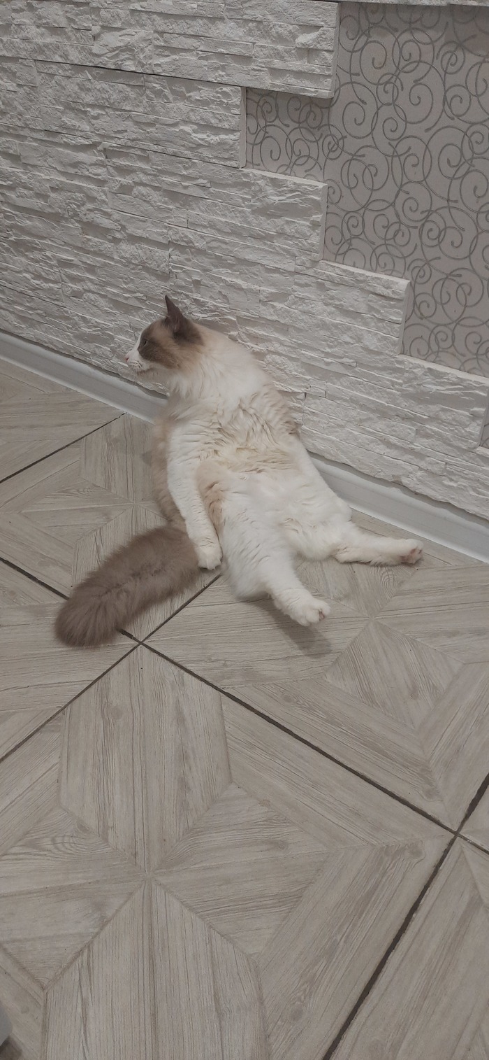 ,  , , , , 