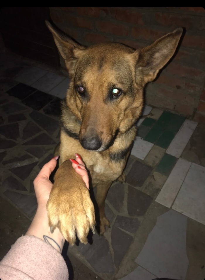 ������ ������(���������) � ��� ��� �����. (��������� �����)