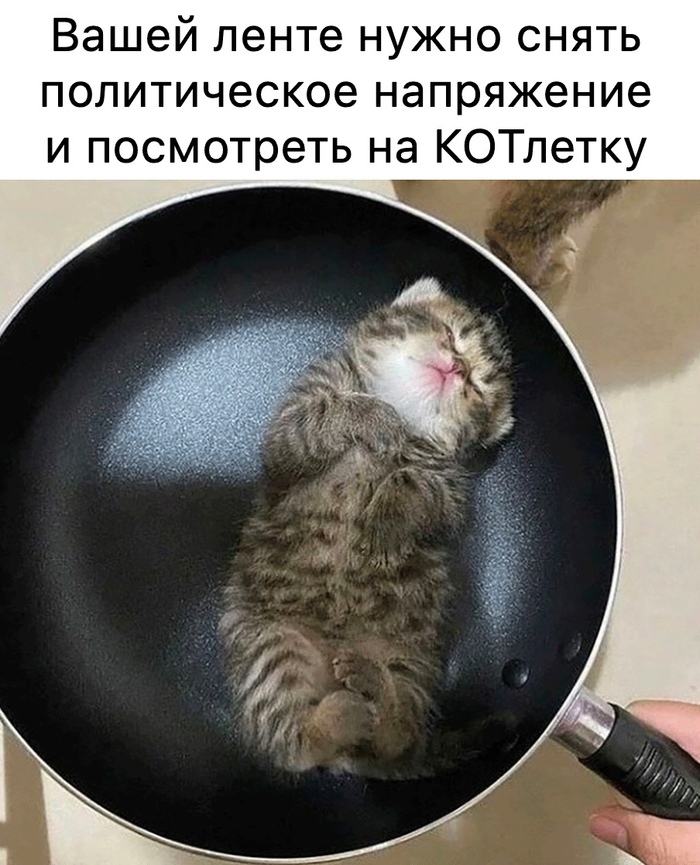 Нет политоте!