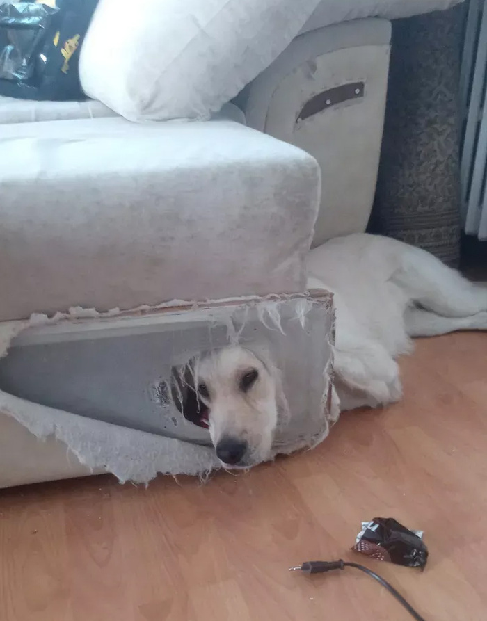 ������ ��� ��� ������� ������!