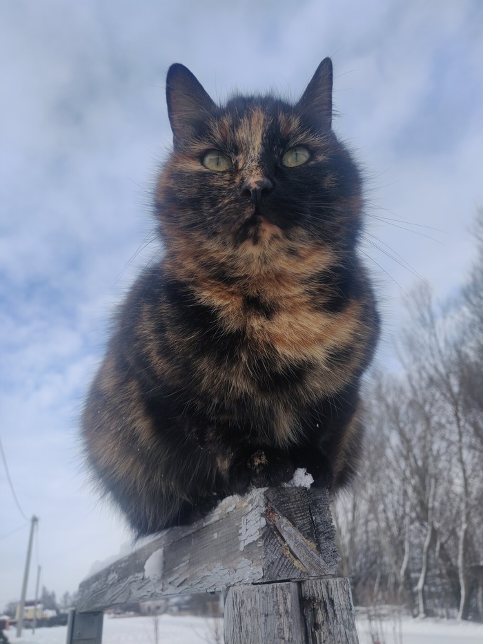 ���������� ���� ��������