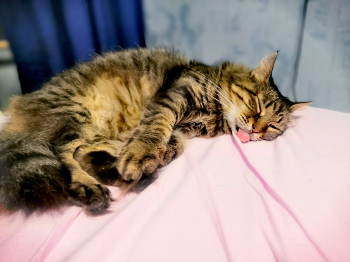 ����� ���������