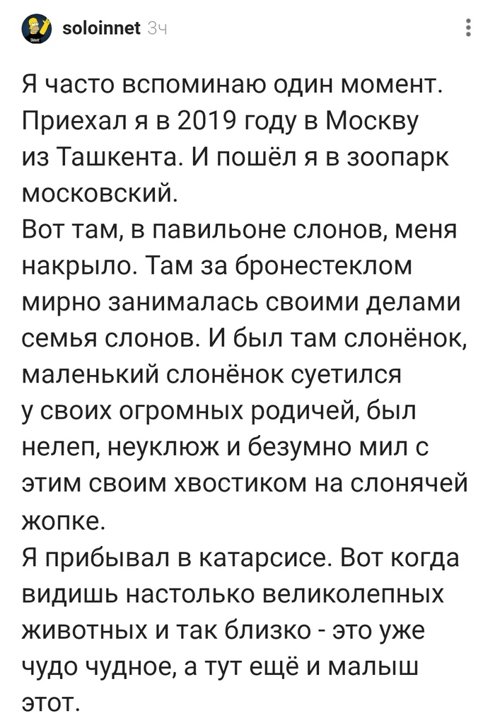 Шото тут совсем смотреть неча© Скриншот, Комментарии на Пикабу, Московский зоопарк, Скука, Нечего смотреть, Юмор, Длиннопост, Истории из жизни, Мат