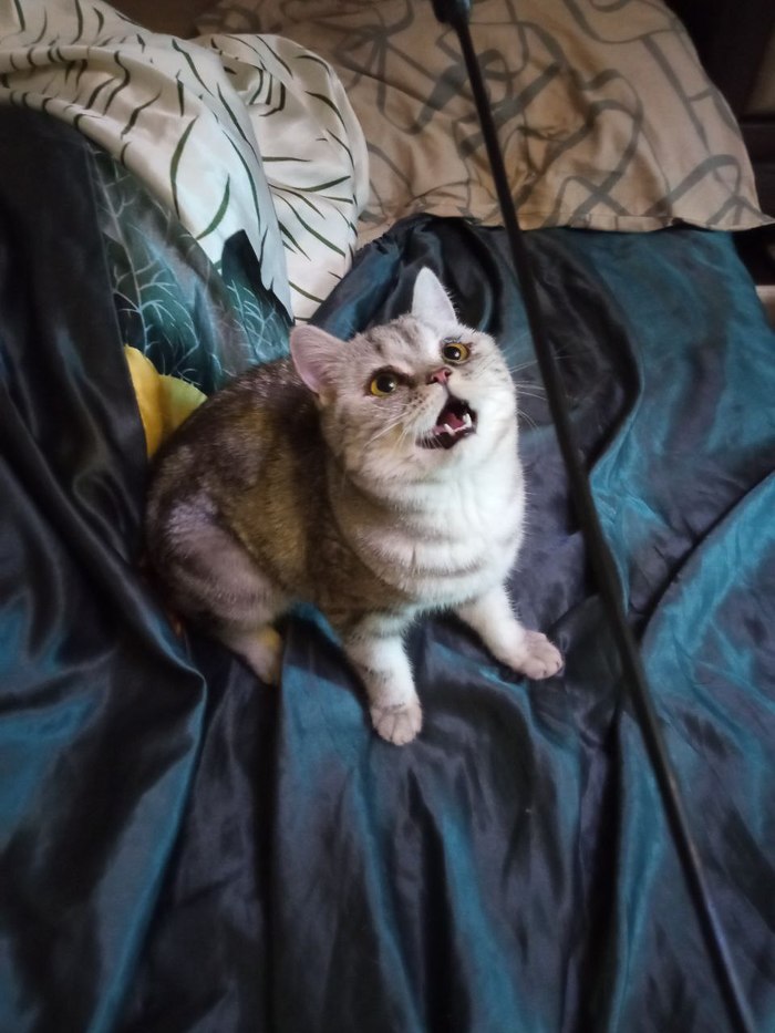 Восторг от игр)