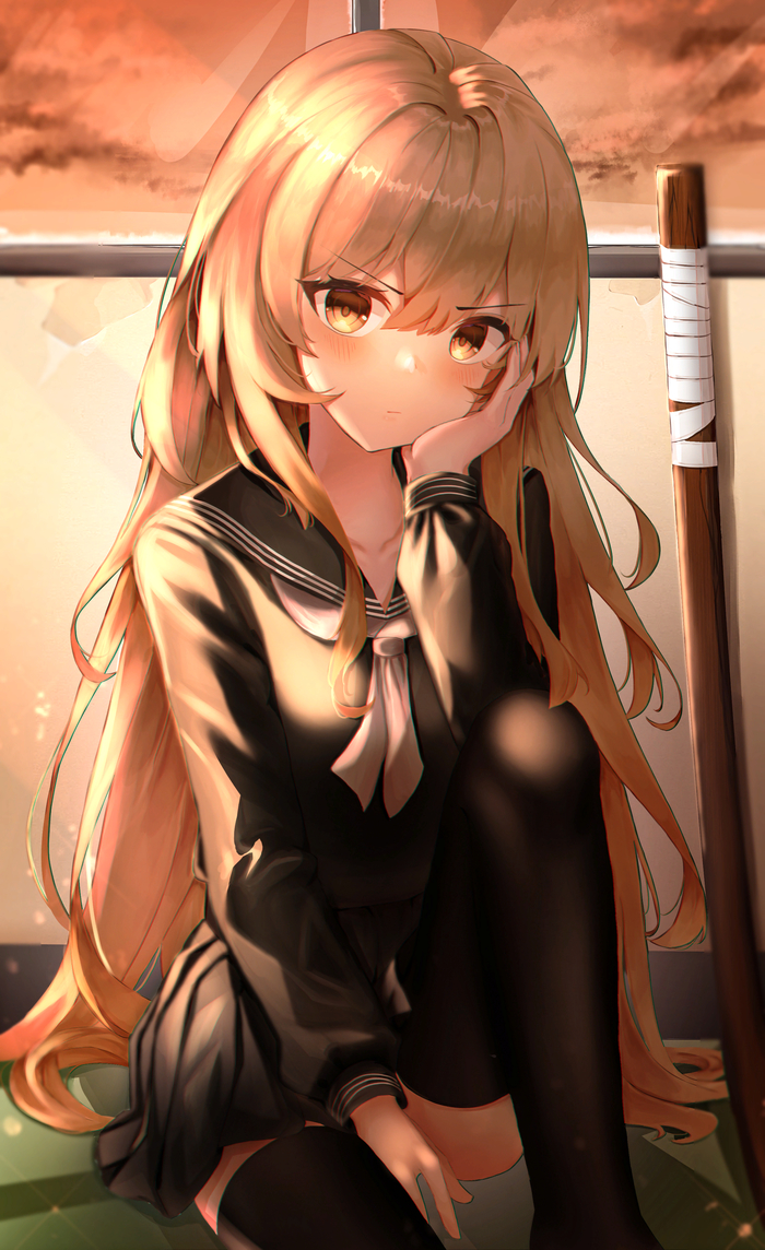   Toradora, Aisaka Taiga, Anime Art, 