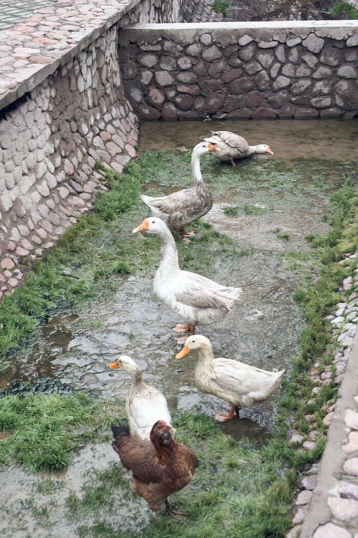Брожу по городу один - Ташкент Путешествия, Бюджетное путешествие, Видео, Длиннопост