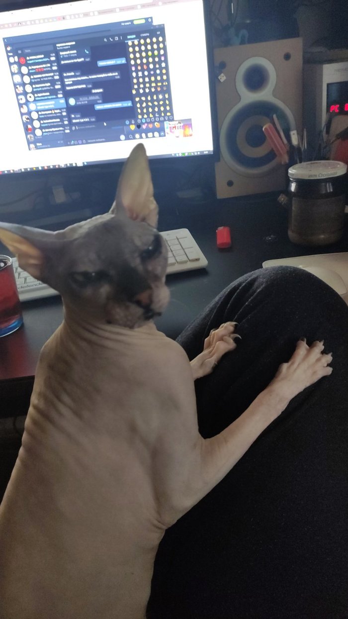 ��������� ����������