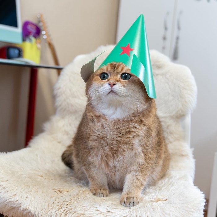 Хоси поздравляет с днём Защитника Отечества