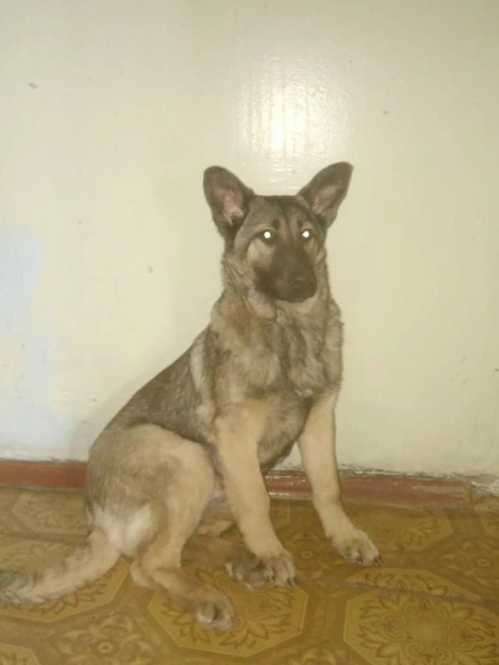 ,  &quot; &quot;.    !