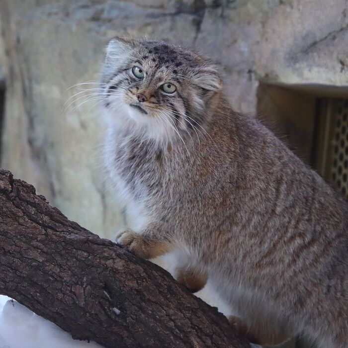 ���� ��������. ����� ���!