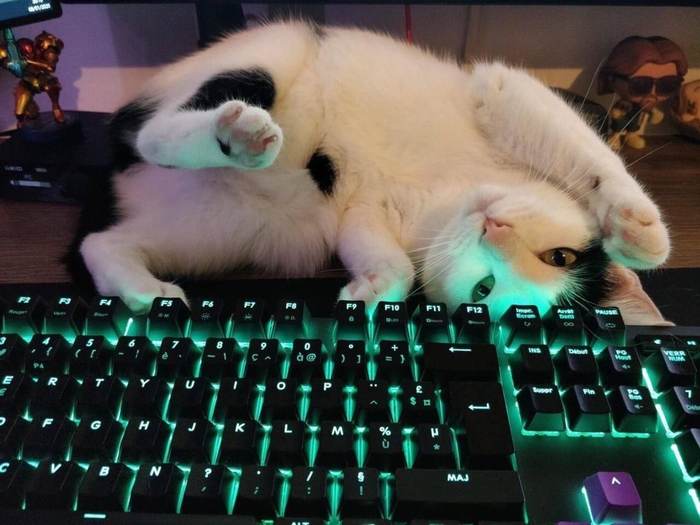 Ты уверен, что в мониторе картинка интереснее?