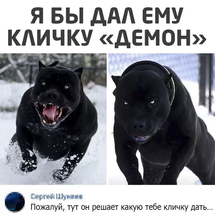 ,   ,    ) ,   , , 