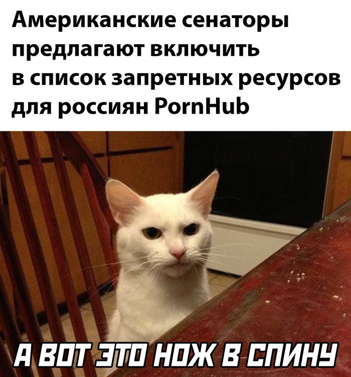 На святое позарились Россия и Украина, Донбасс, Санкции, Pornhub, Картинка с текстом, Кот