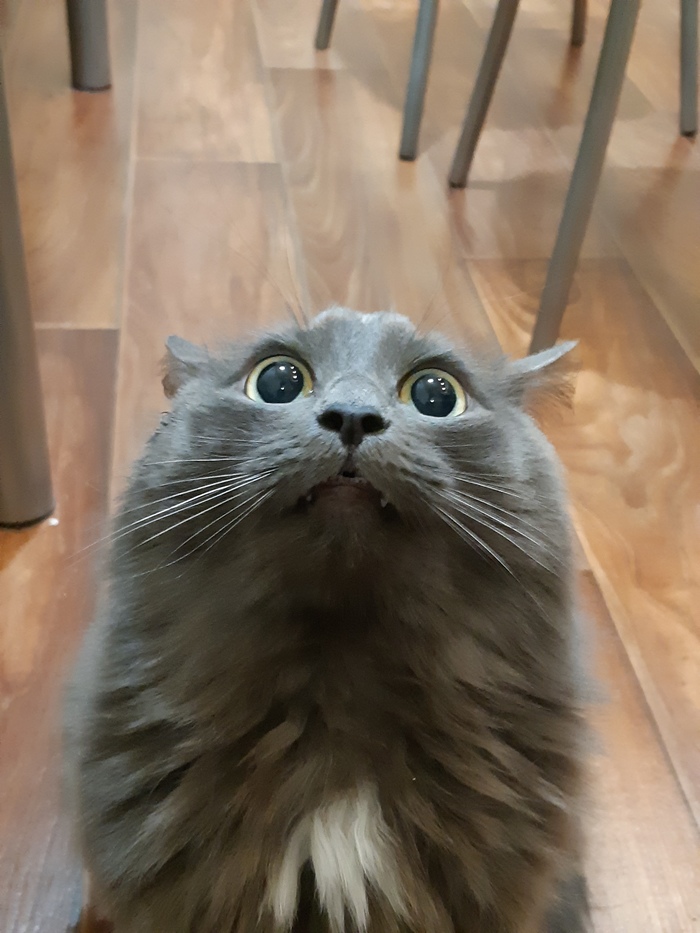  ! , , 