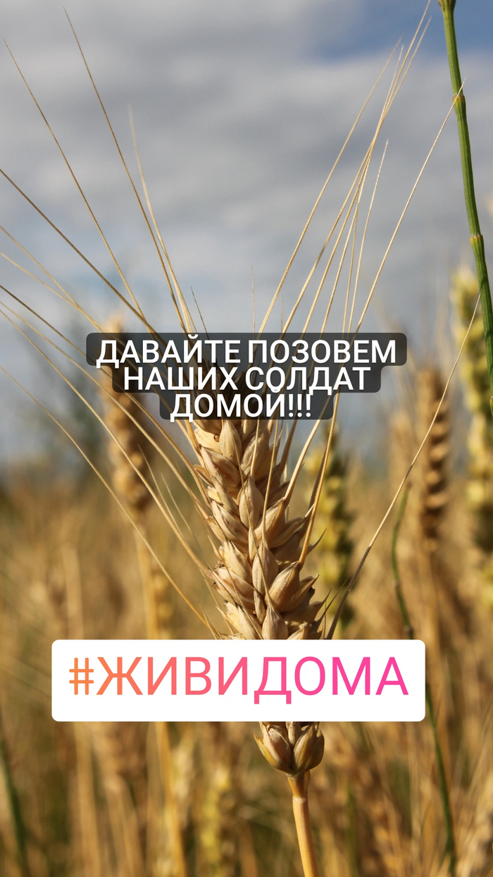 Возвращайтесь живыми домой картинки