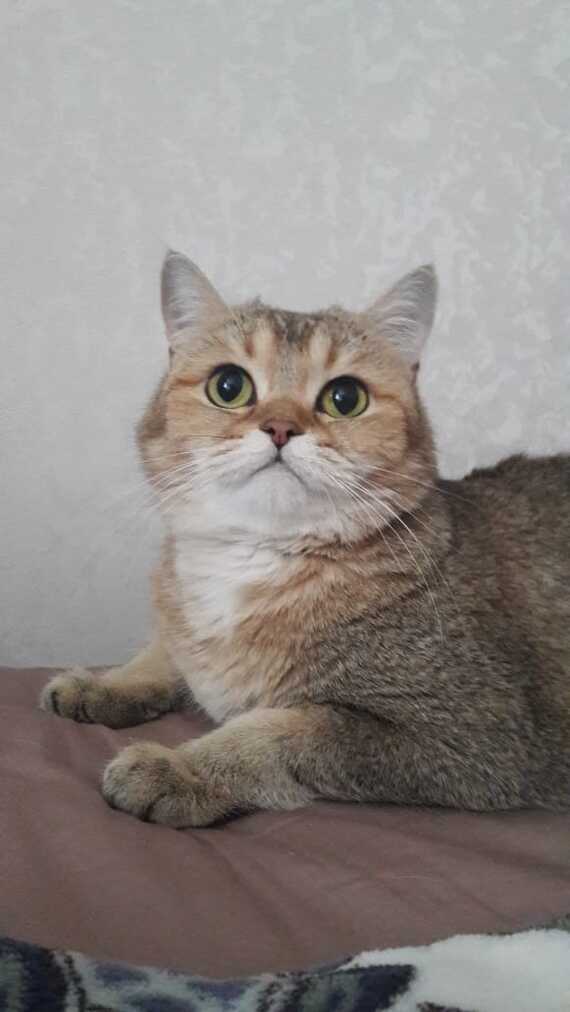 �� �����. �� �����