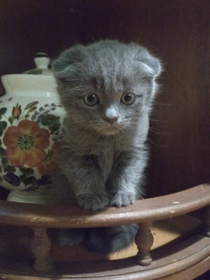 ��� ��� � ��� ���� ���