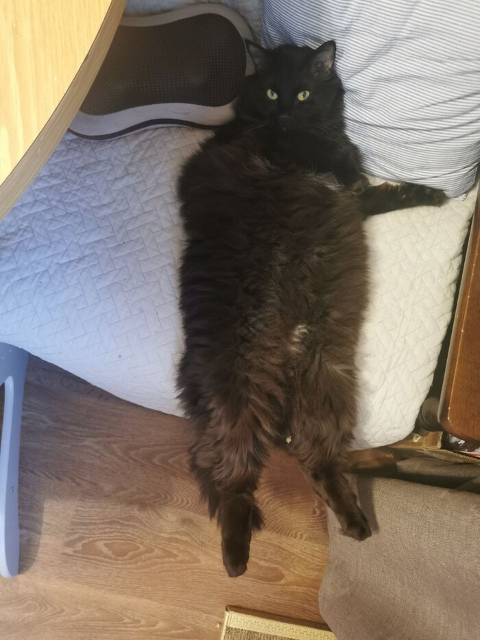 �������� ����� �����