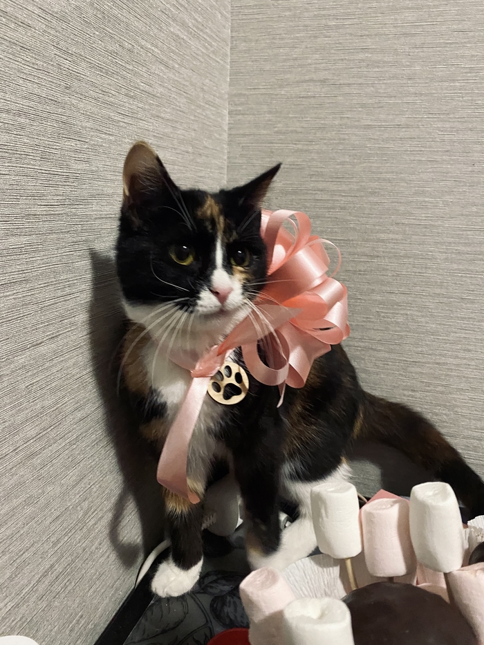 ����� �� ���� �� ����� �������, ��� ��� ���