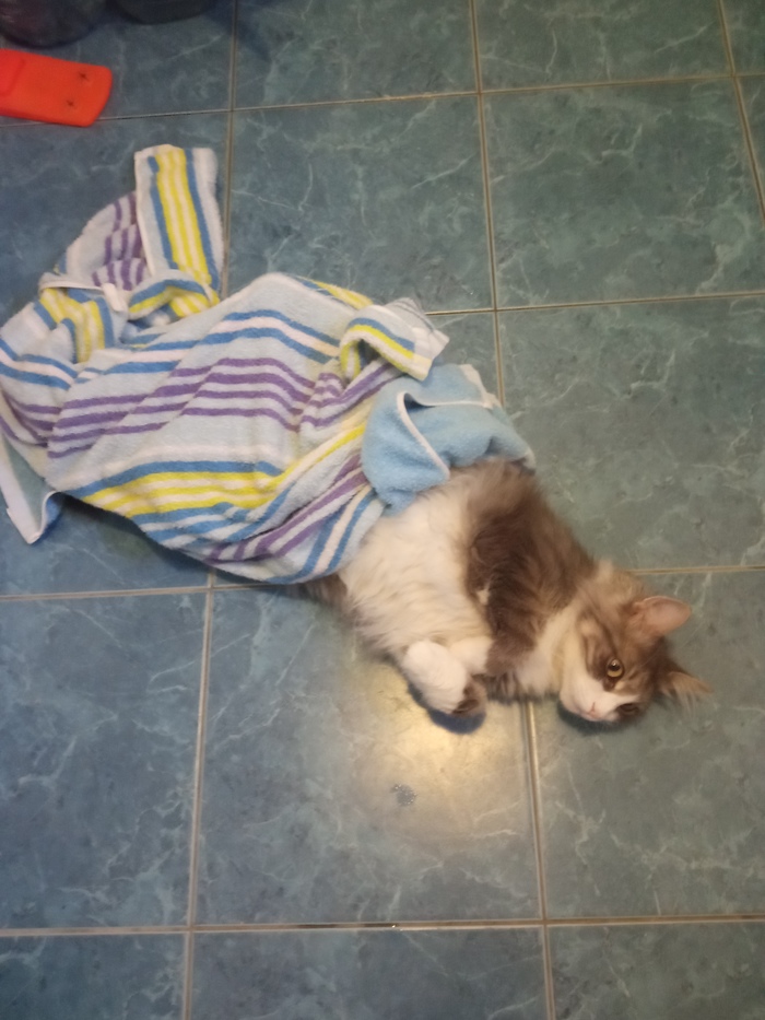 � � ���� � �������)