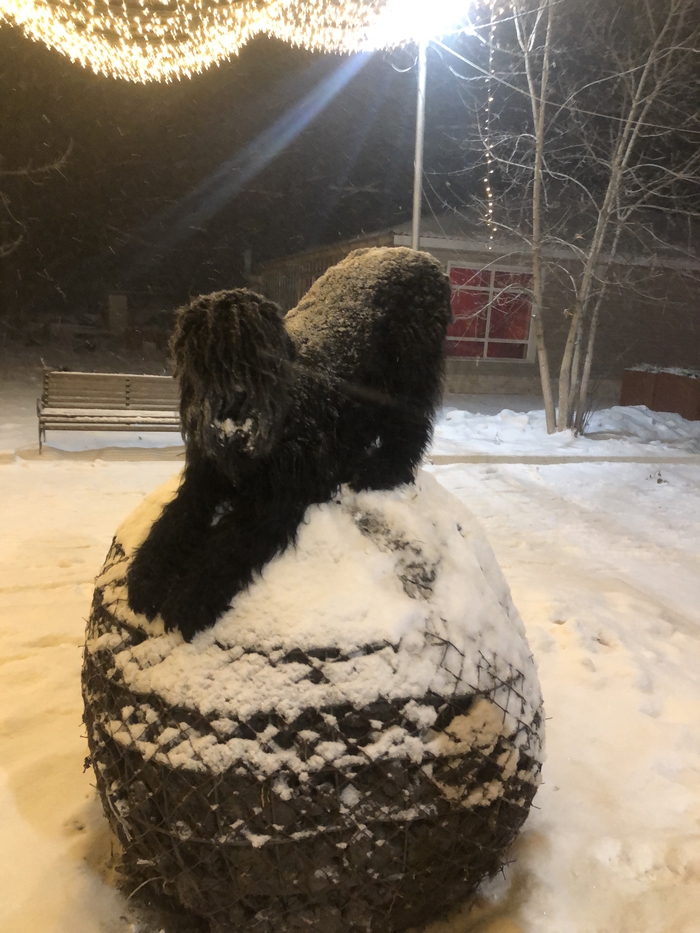 Команда сидеть