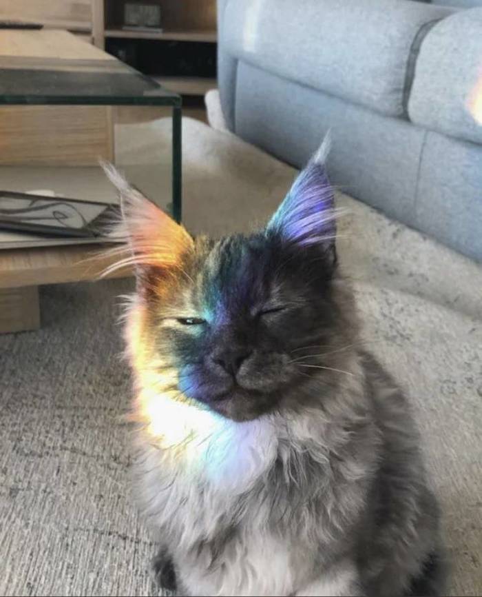 !    ,    , , -