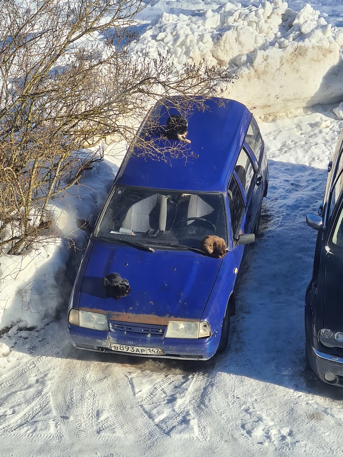 ���� ���������...