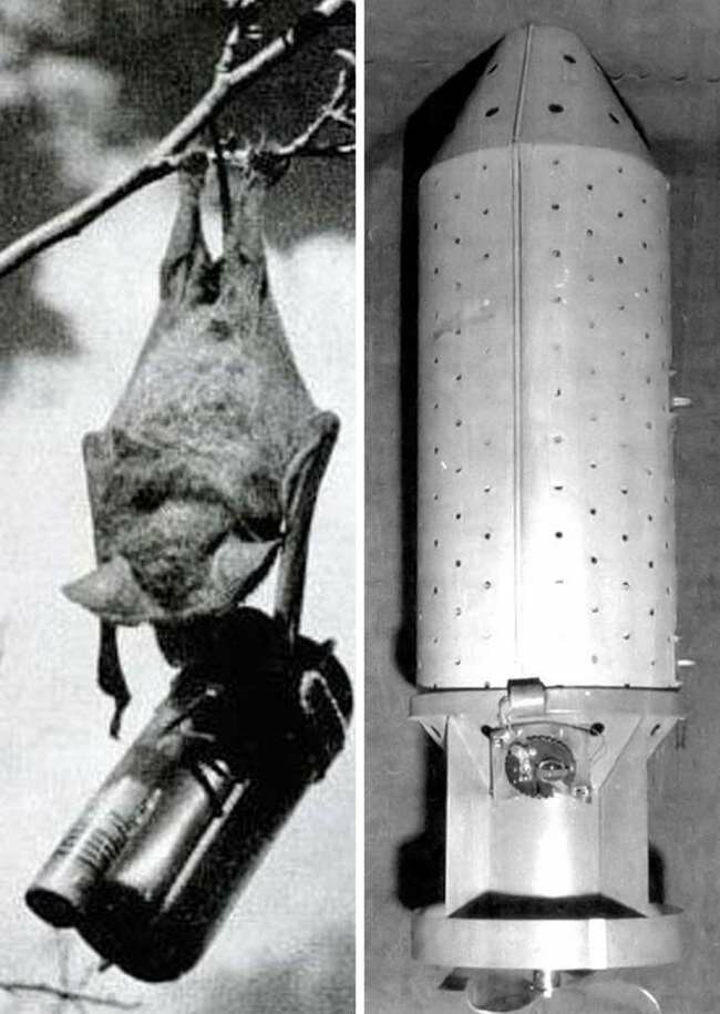 ������� �����